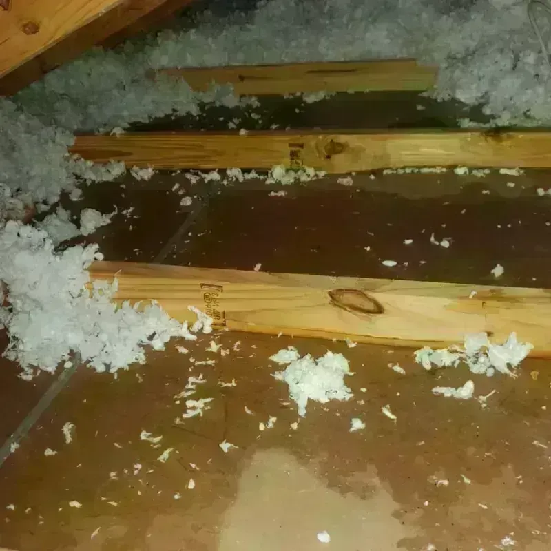 Attic Water Damage in Hancock County, GA