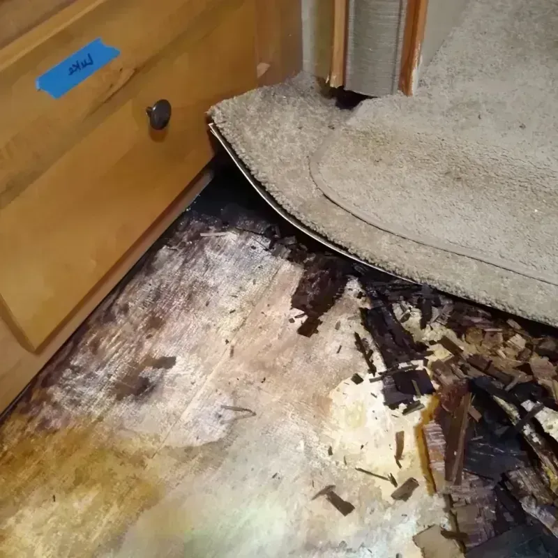 Wood Floor Water Damage in Hancock County, GA